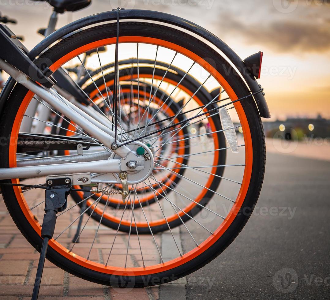 location de vélos sur la rue principale de la ville. système de vélos en libre-service. photo