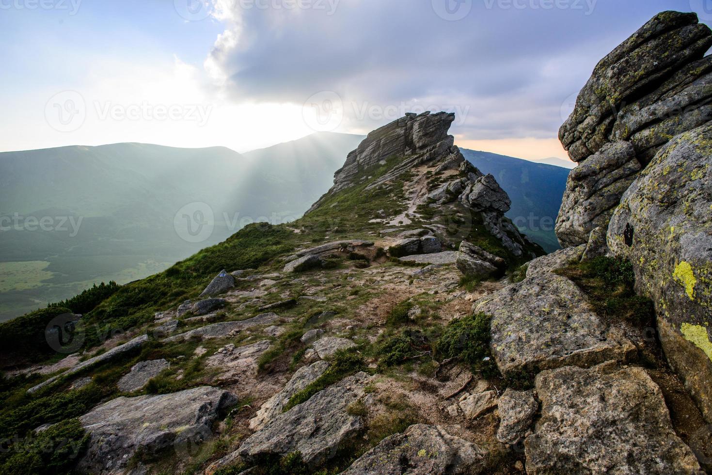 paysage d'été dans les montagnes photo