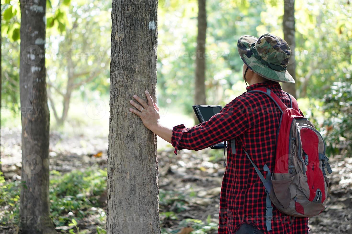 un botaniste asiatique porte un chapeau, une chemise à carreaux rouge et un sac à dos, tient une tablette intelligente pour vérifier et étudier les arbres dans la forêt. concept, utilisant la technologie des appareils intelligents pour gérer l'environnement et les arbres de recherche. photo