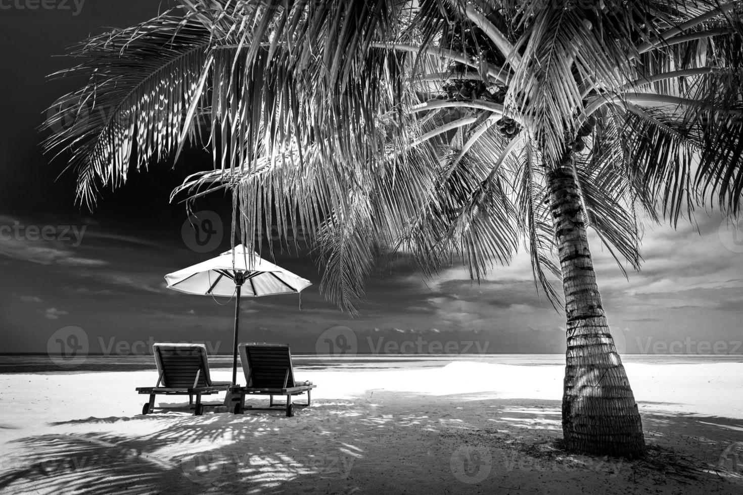 paysage d'été incroyable, processus noir et blanc. vue spectaculaire sur le paysage tropical deux transats de plage et palmier avec des feuilles. magnifique fond de plage, modèle de site Web de vacances et de vacances photo