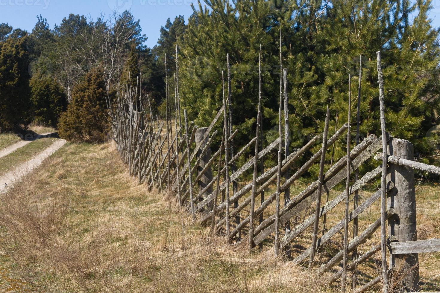 vues printanières de l'île de hiiumaa photo