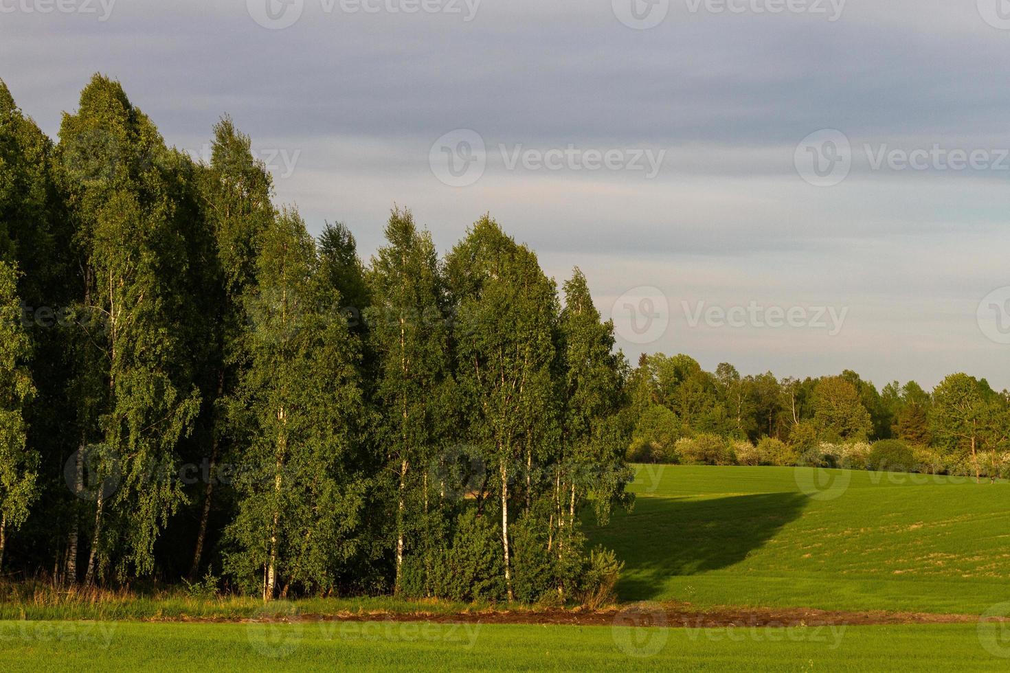 paysages de la campagne lettone au printemps photo