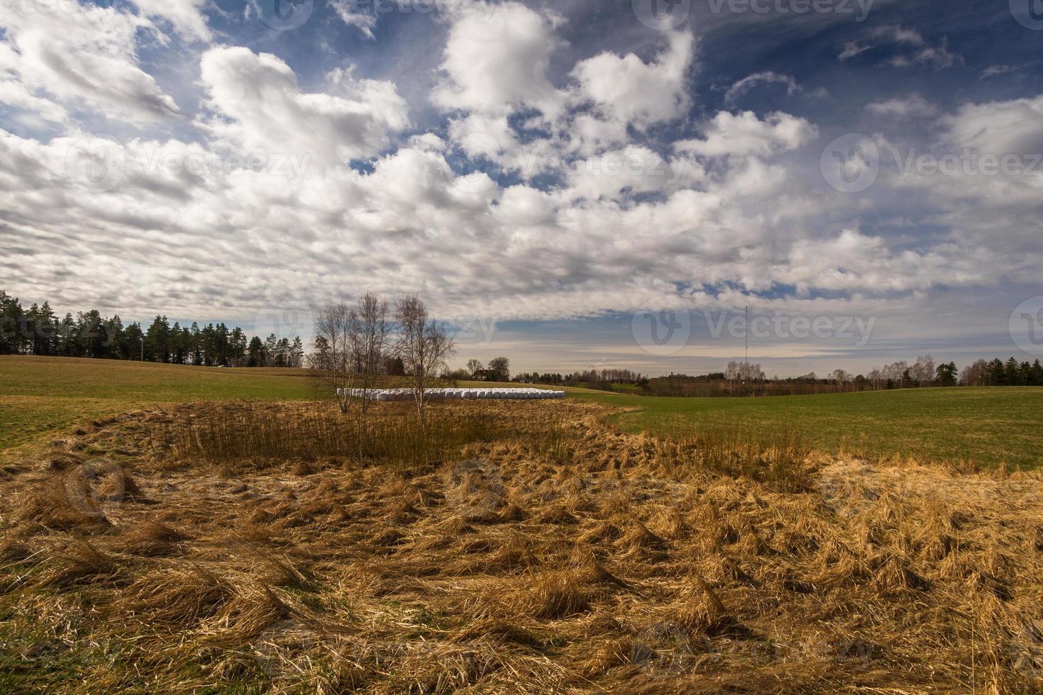 paysages de printemps avec des nuages photo