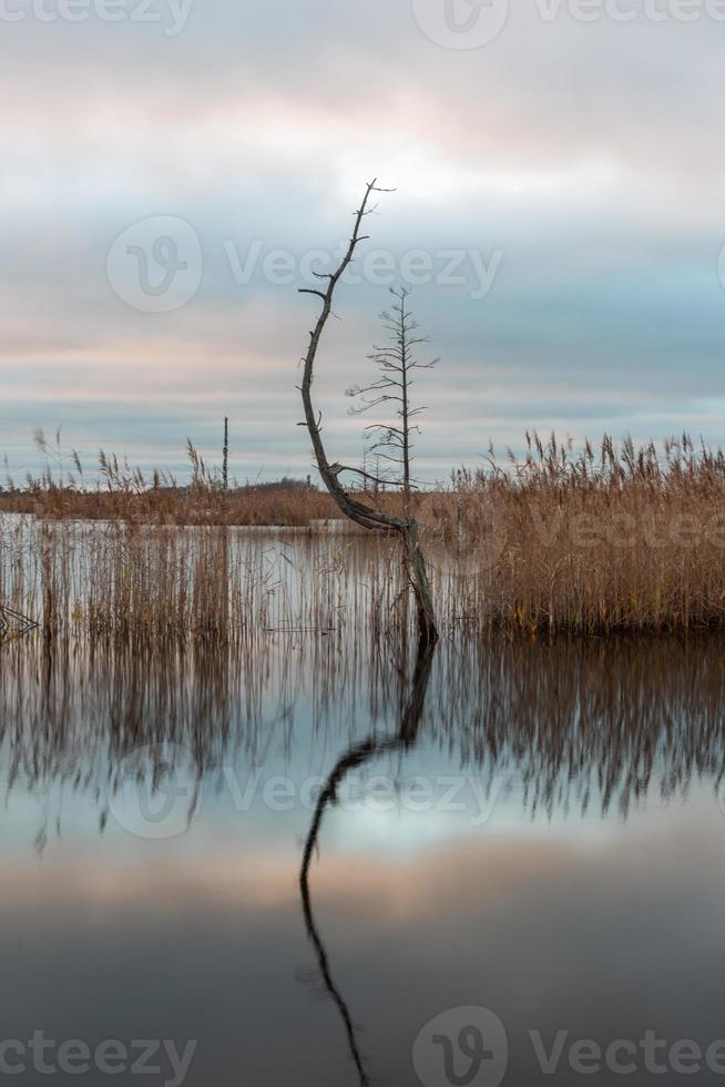 journée d'automne au lac des marais photo