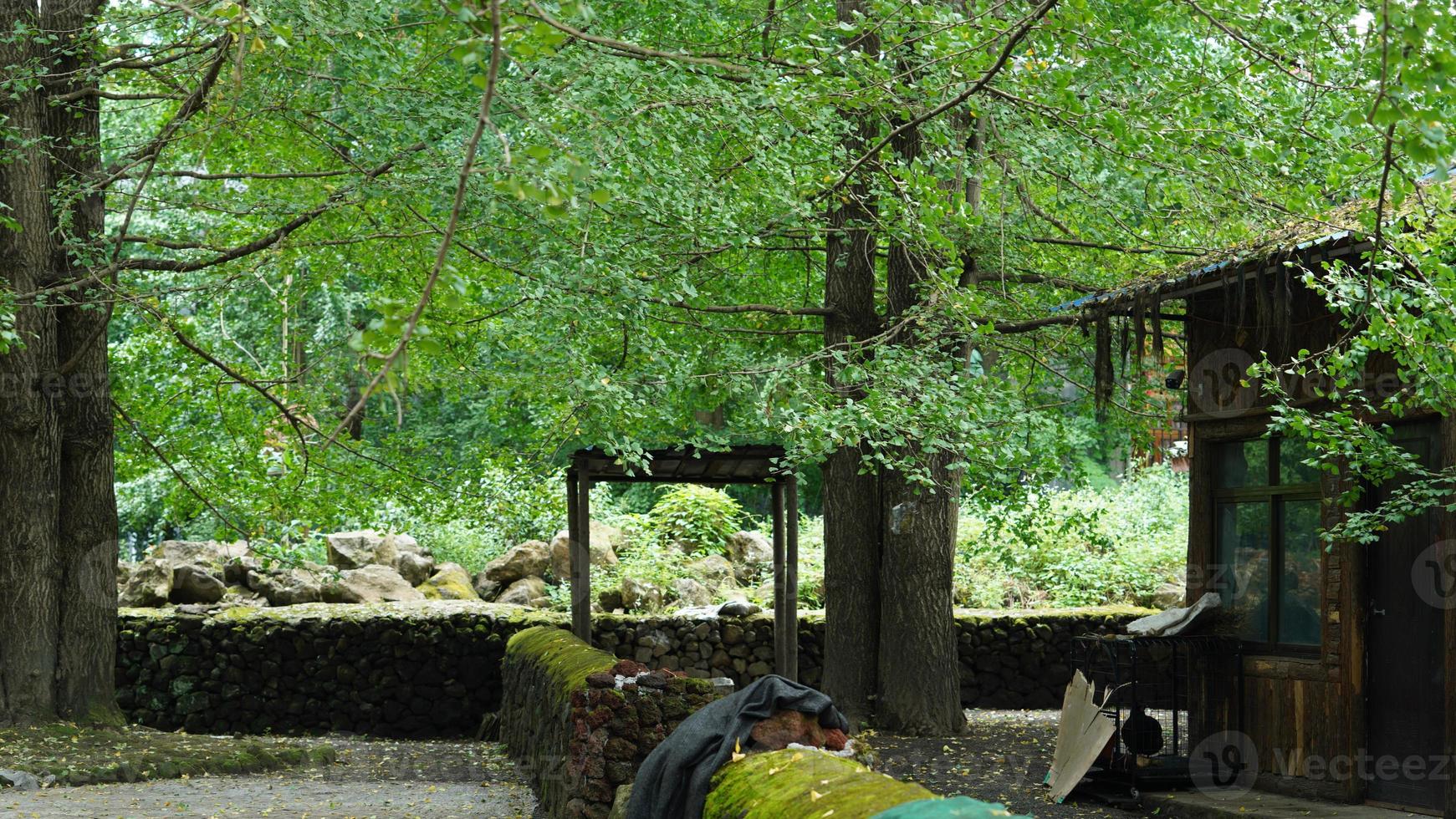 la vue sur le vieux village chinois avec les anciennes architectures construites photo