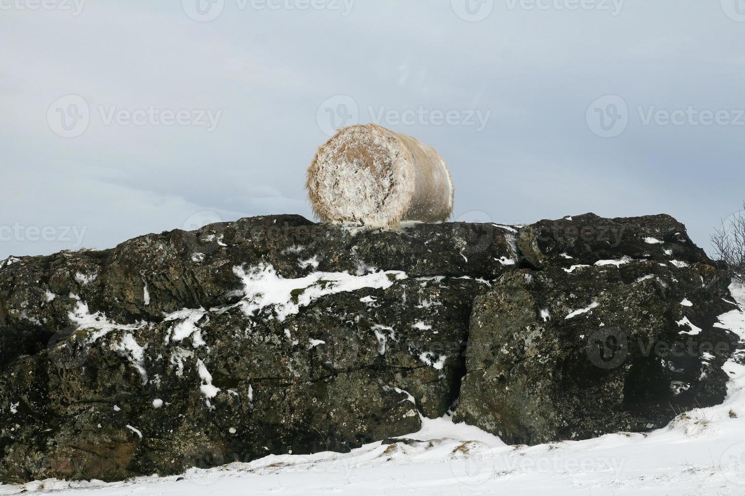 un rouleau de botte de foin recouvert de neige portant sur des rochers photo