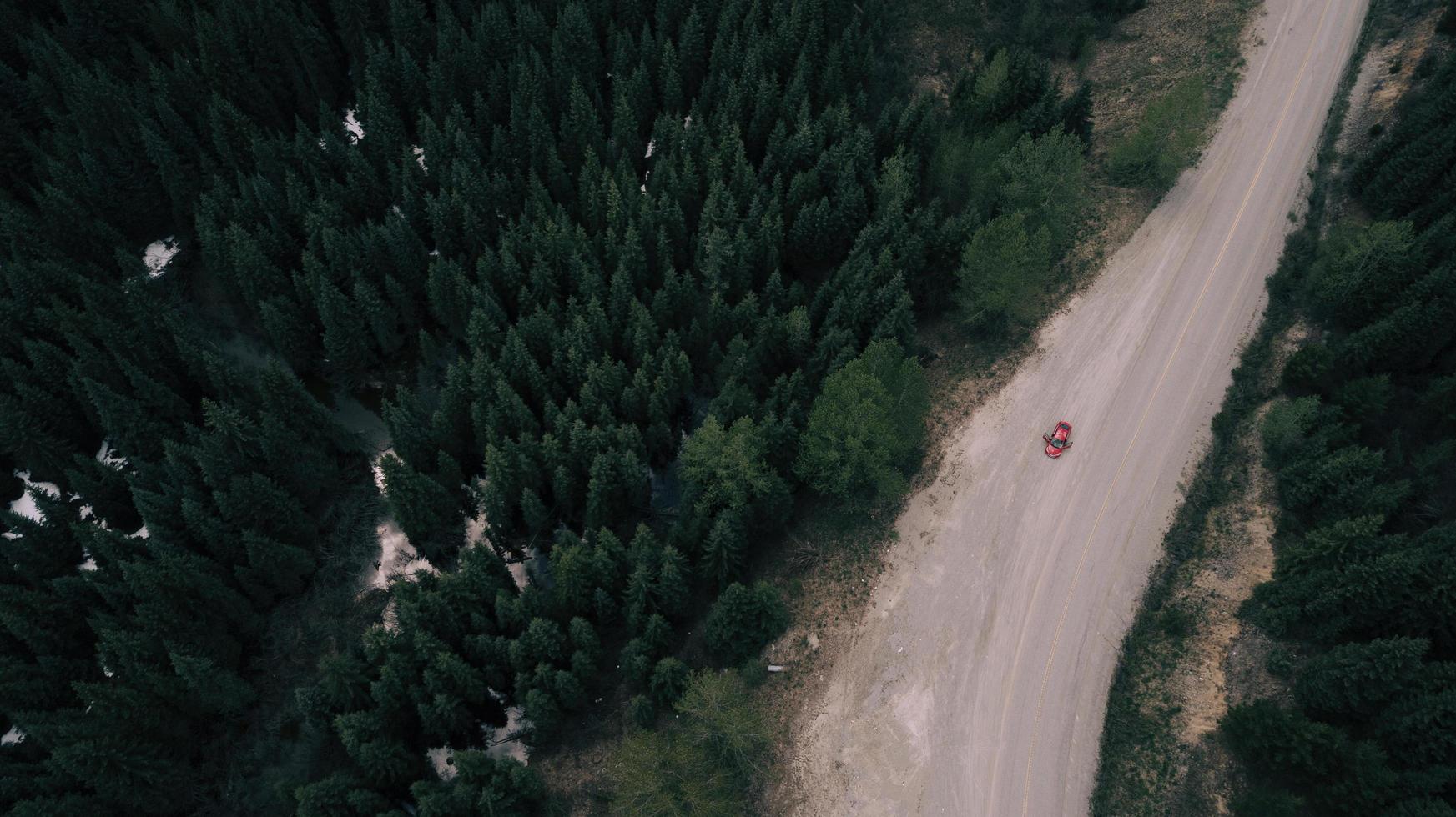 Vue aérienne d'une voiture rouge sur une route entre les arbres photo