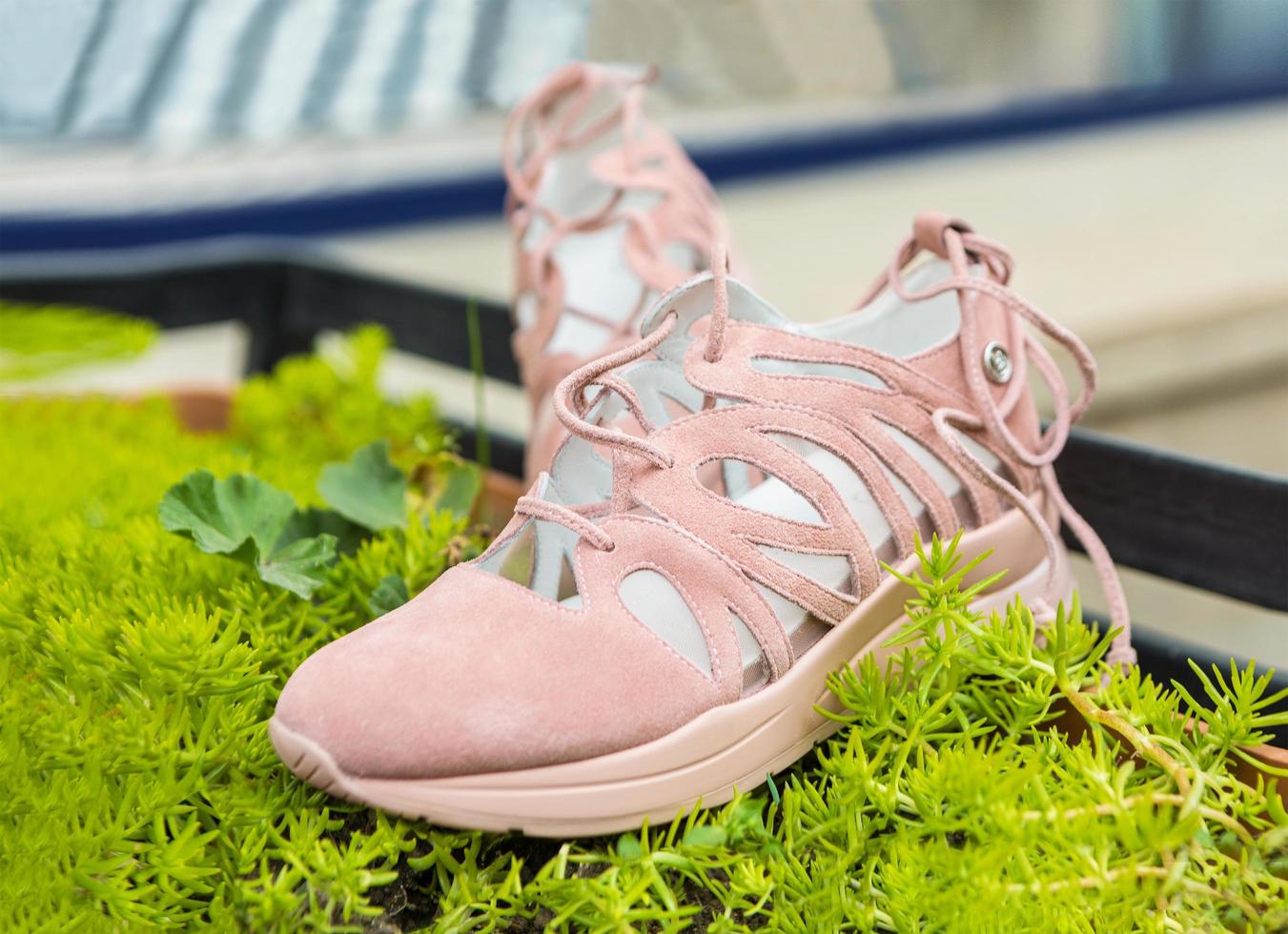 chaussures de sport femme rose sur la plante verte photo