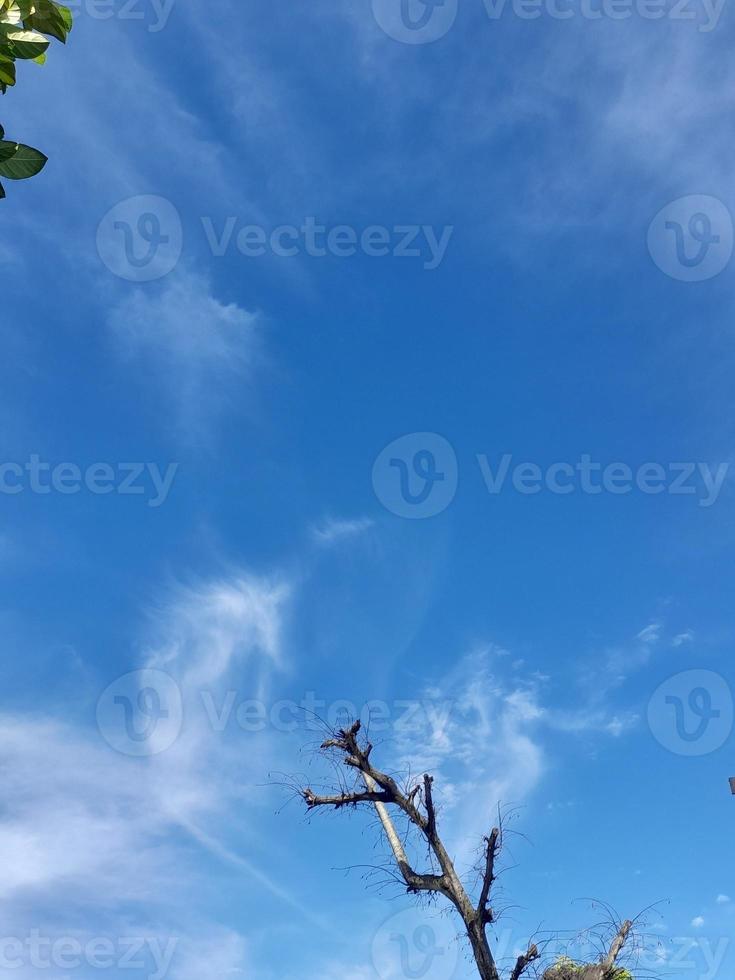 fond naturel. ciel bleu avec fond de nuages gonflés photo