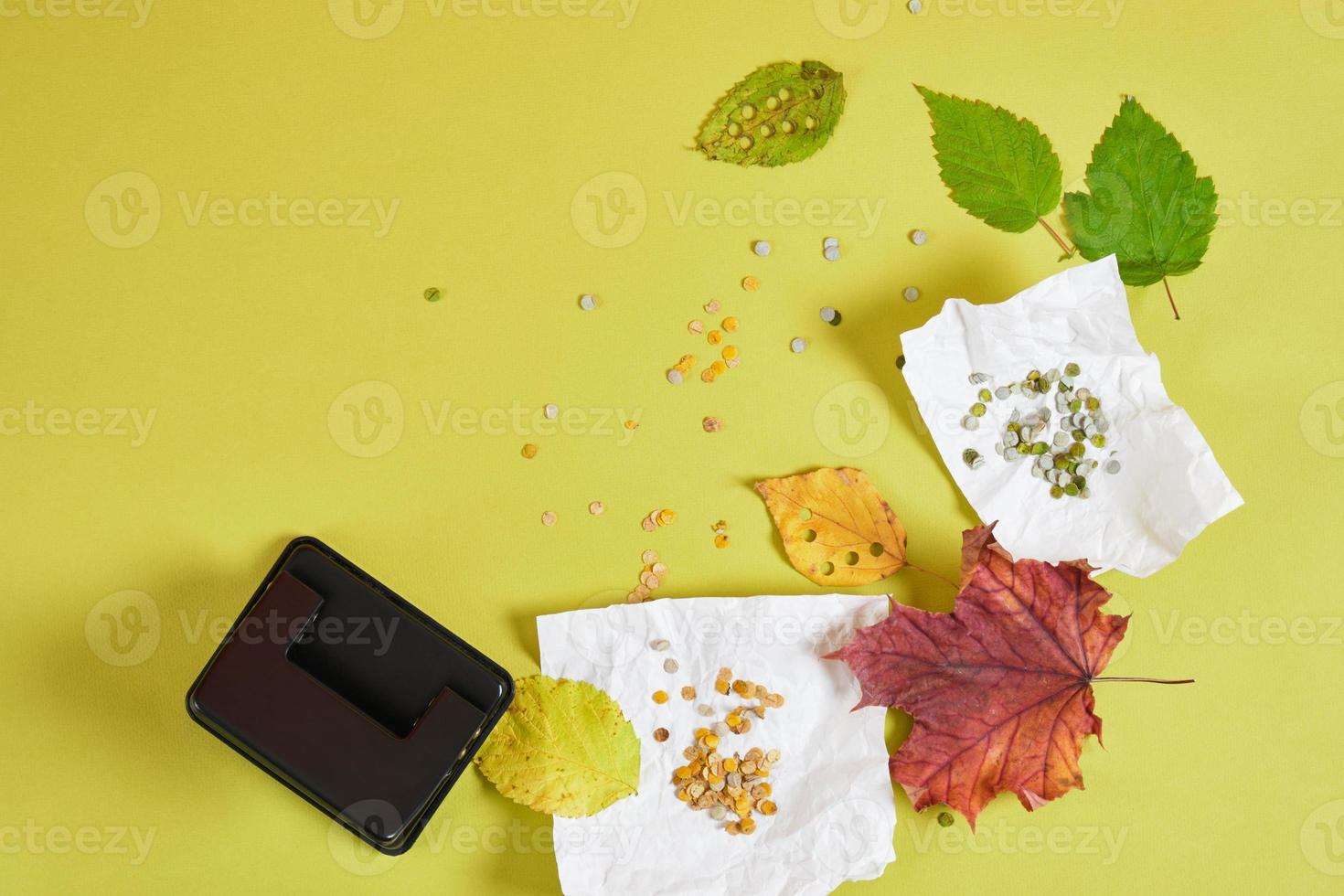 perforatrice, feuilles d'automne et confettis pour les vacances, confettis écologiques zéro déchet à base de feuilles séchées photo