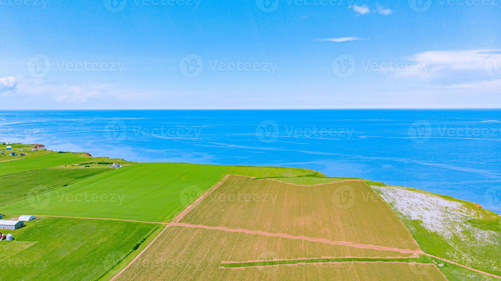 terres agricoles entourées par l'océan, île du prince édouard, canada photo