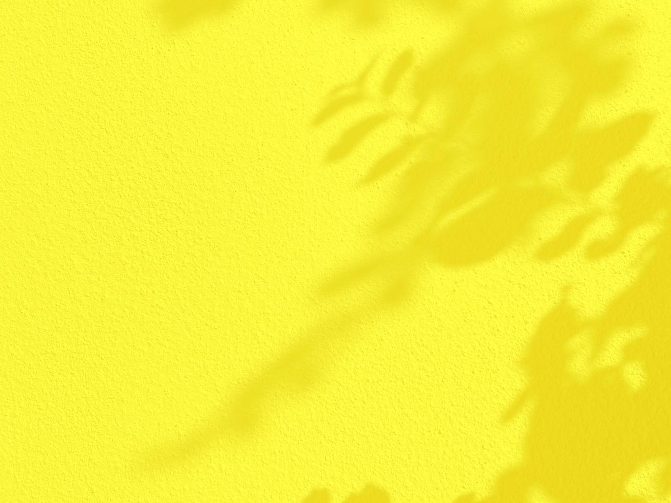 texture transparente du mur de ciment jaune une surface rugueuse et une ombre de feuille, avec un espace pour le texte, pour un arrière-plan. photo