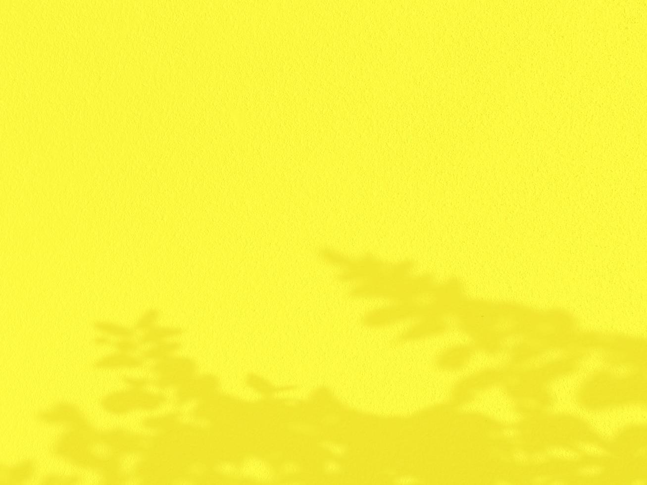 texture transparente du mur de ciment jaune une surface rugueuse et une ombre de feuille, avec un espace pour le texte, pour un arrière-plan. photo