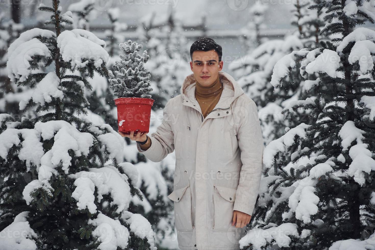 beau jeune homme en manteau chaud tenant un pot rouge avec sapin à l'extérieur pendant la journée photo