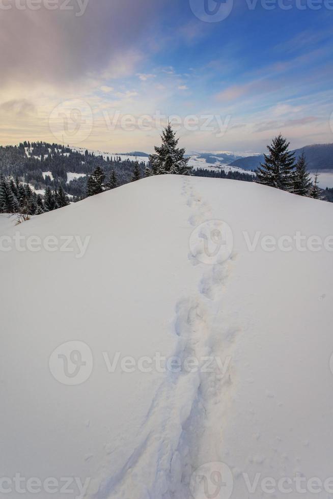 montagnes d'hiver des Carpates photo