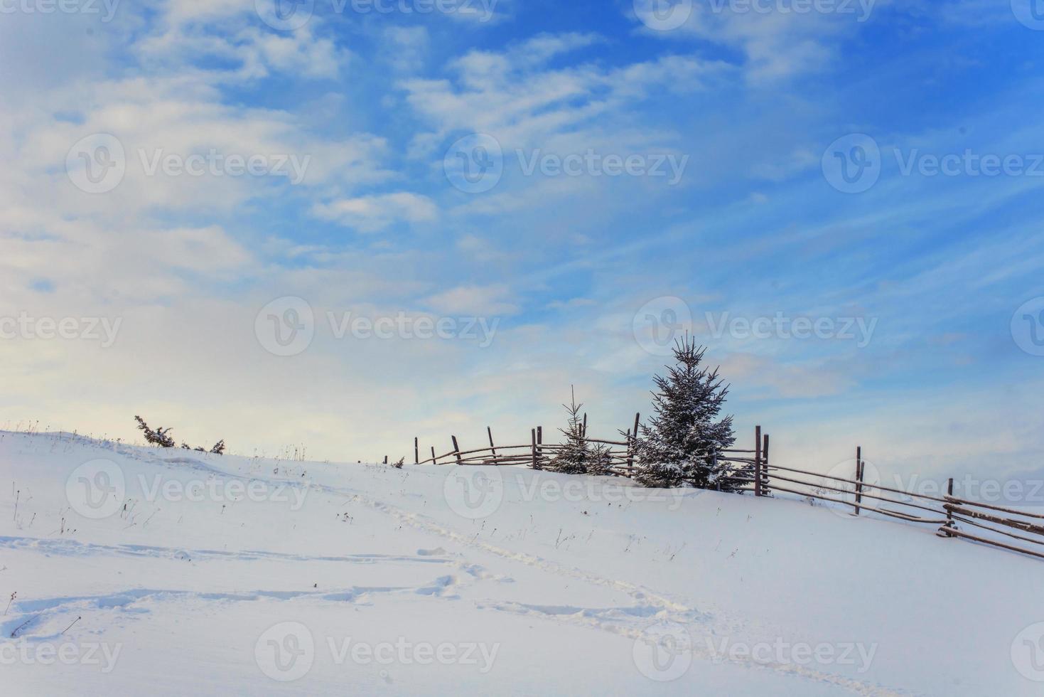 montagnes d'hiver des Carpates photo