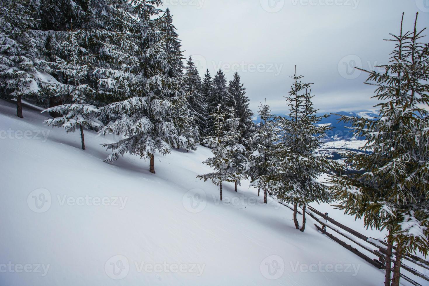 montagnes d'hiver des Carpates photo