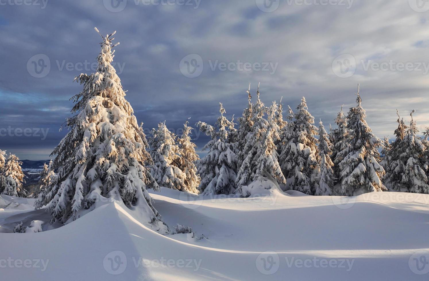 ciel nuageux. paysage d'hiver magique avec des arbres couverts de neige pendant la journée photo