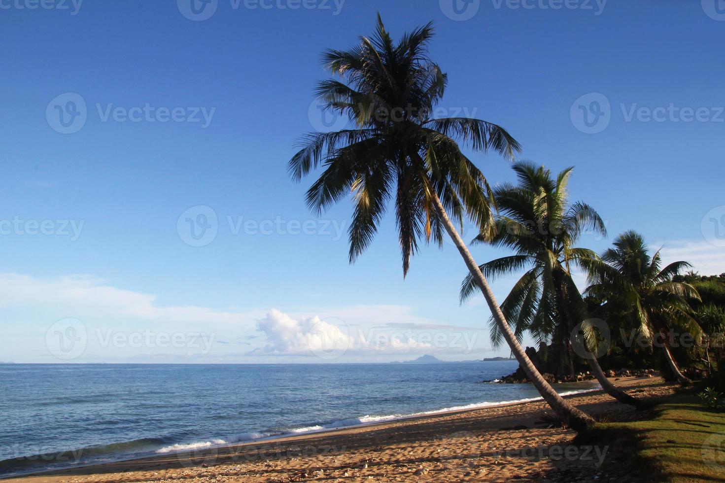 voyage sur l'île de koh lanta, en thaïlande. la vue sur la plage de sable avec palmiers et mer bleue. photo