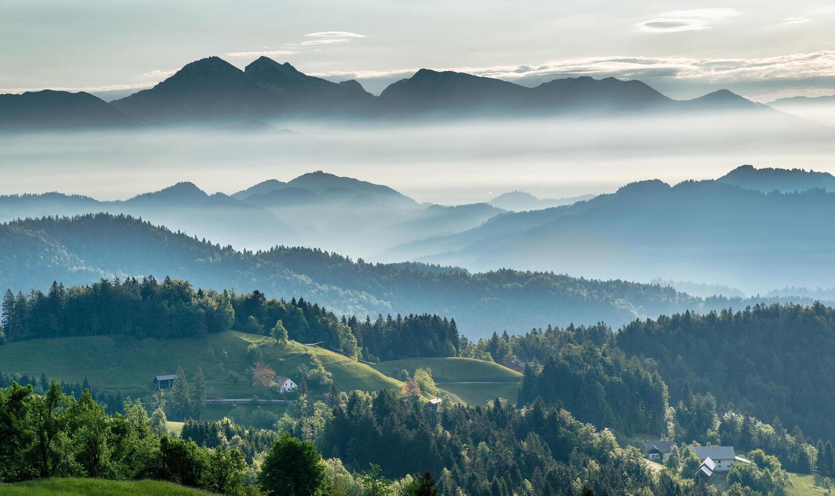 voyageur touristique photographe debout sur le dessus vert sur la montagne tenant dans les mains un appareil photo numérique. randonneur prenant des photos, fille profitant du paysage panoramique de la nature en voyage