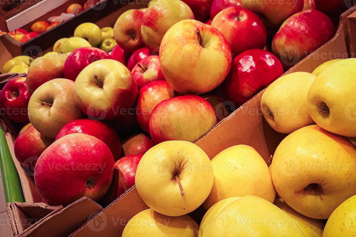 récolter les pommes mûres. vente de fruits juteux au marché fermier. alimentation écologique biologique. photo