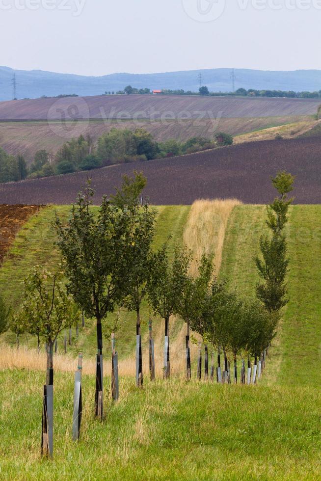 paysage d'automne dans un champ morave photo