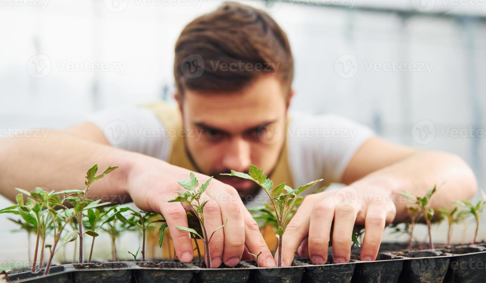 prendre soin des plantes dans le stand noir. jeune travailleur de serre en uniforme jaune a un emploi à l'intérieur de la serre photo