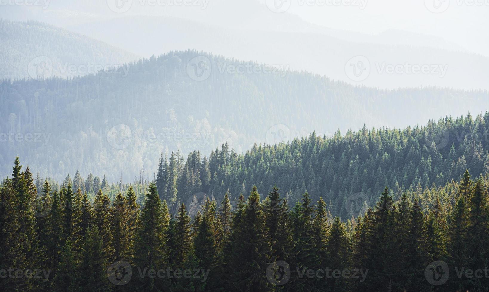majestueuses montagnes des carpates. beau paysage de nature intacte photo