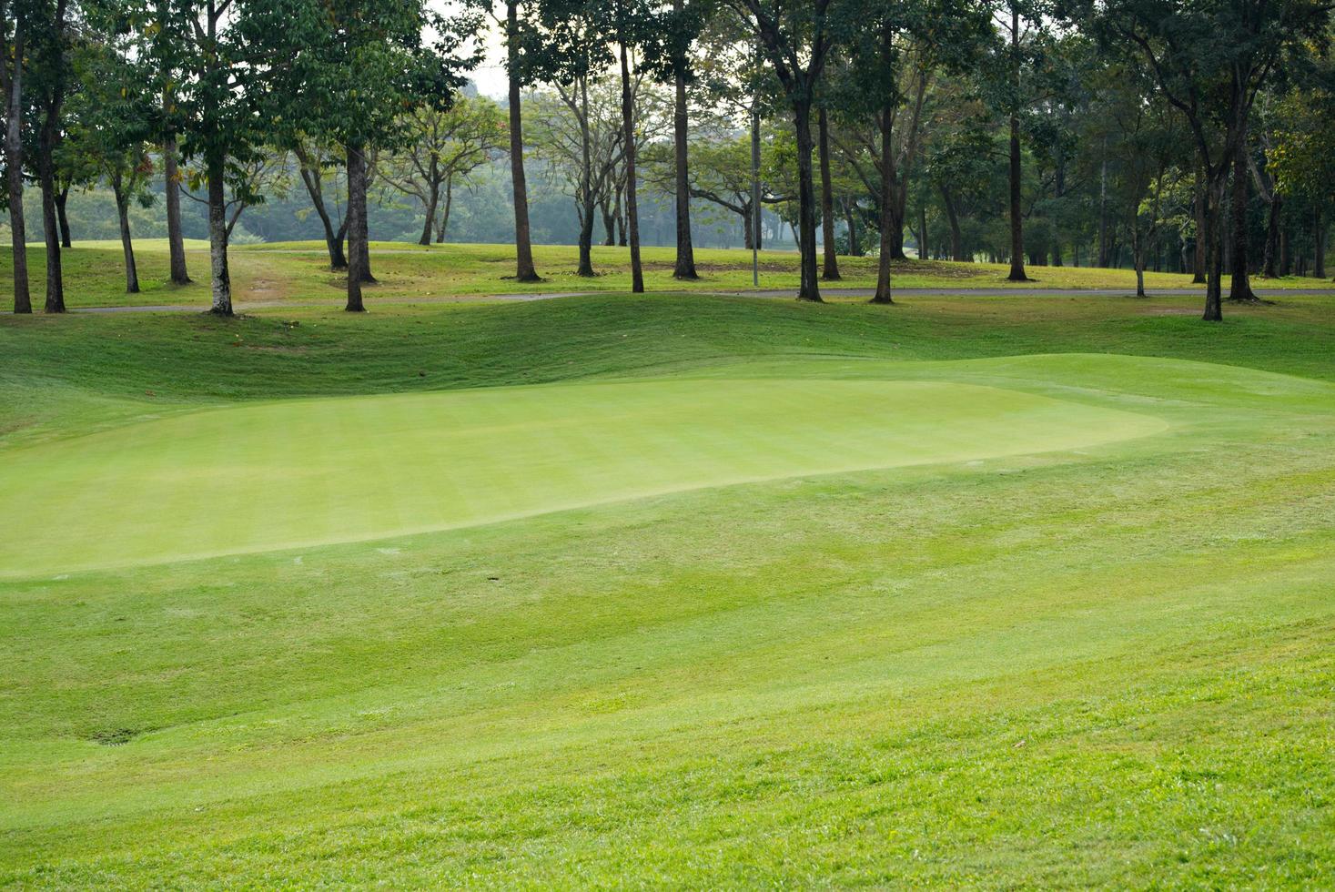 beau parcours de golf en herbe verte photo
