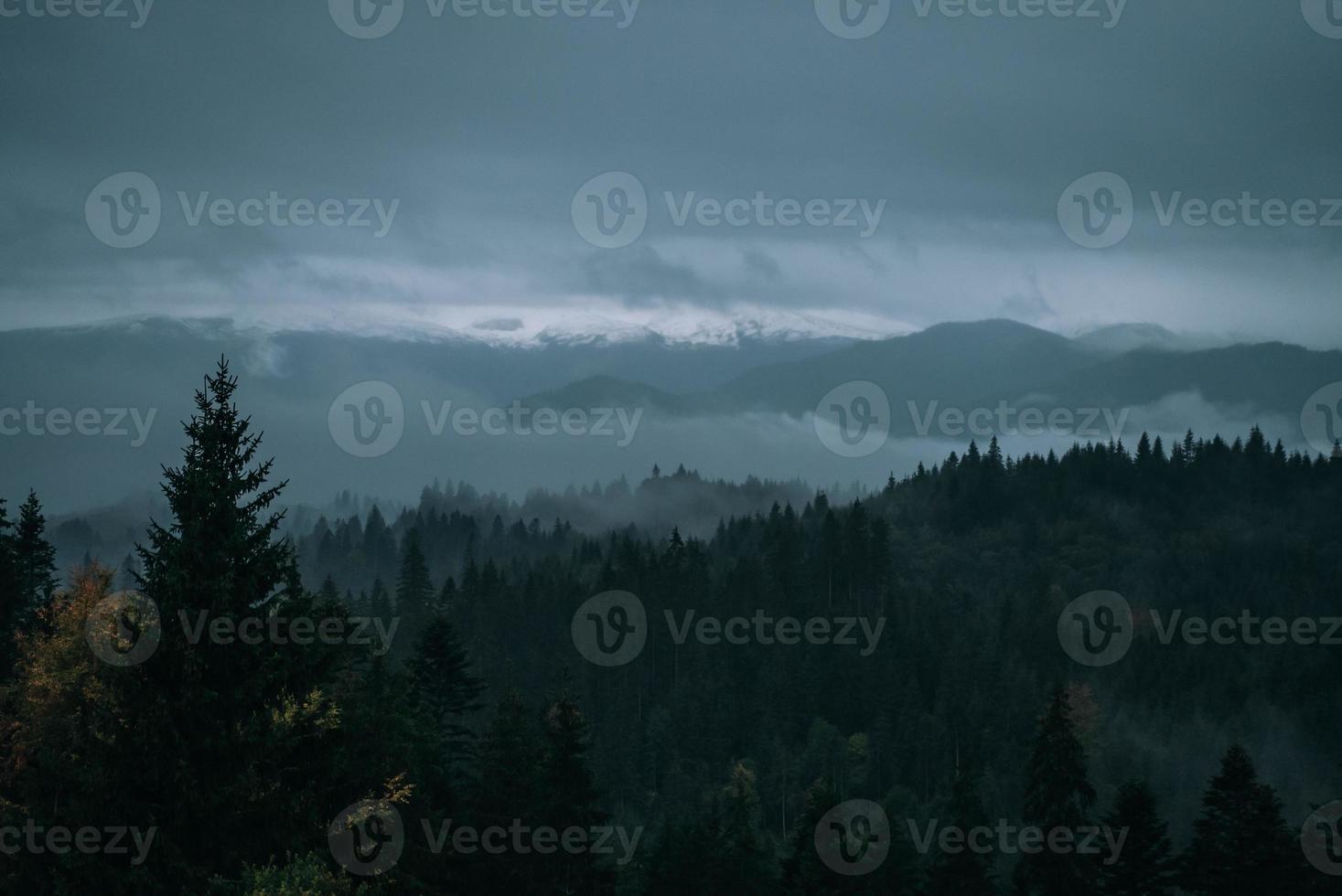 forêt de conifères et paysage de montagnes voyage paysage serein photo