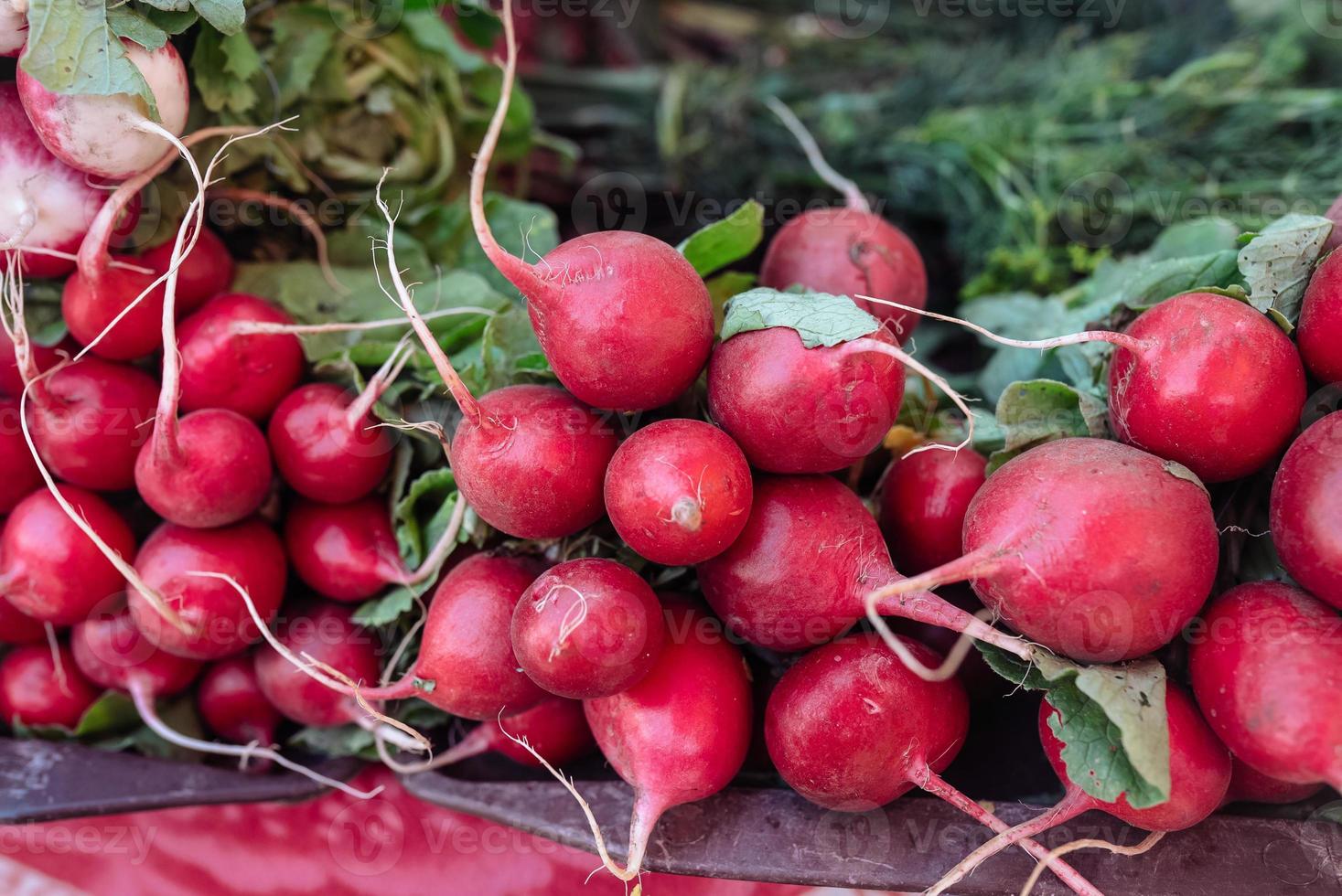 Légumes frais bio radis à vendre sur le marché des agriculteurs français photo