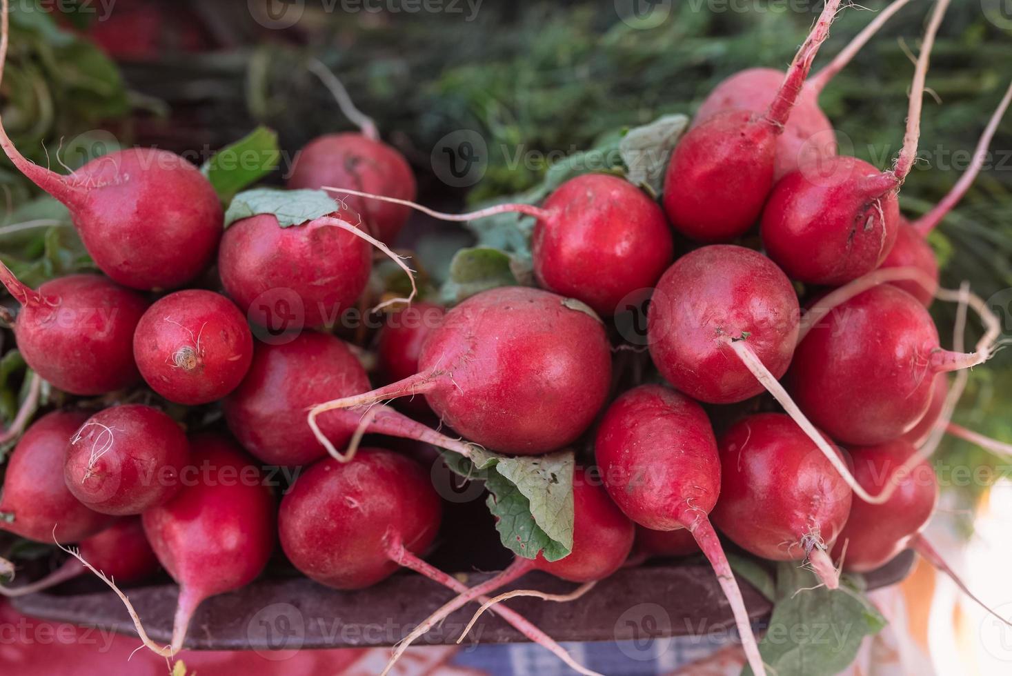 Légumes frais bio radis à vendre sur le marché des agriculteurs français photo