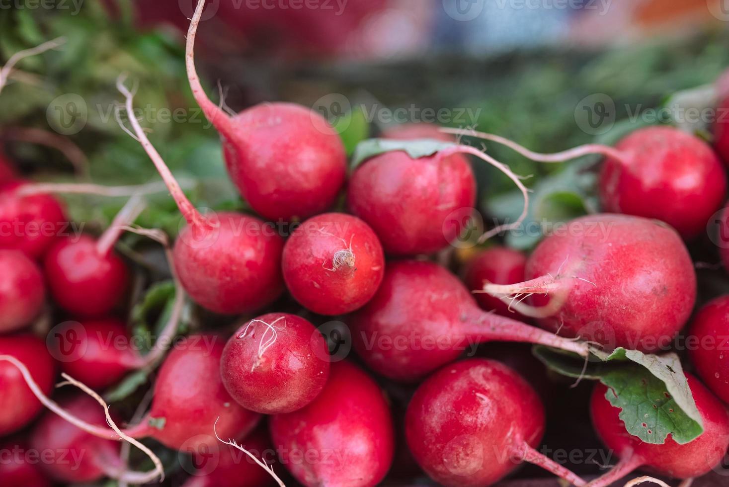 Légumes frais bio radis à vendre sur le marché des agriculteurs français photo
