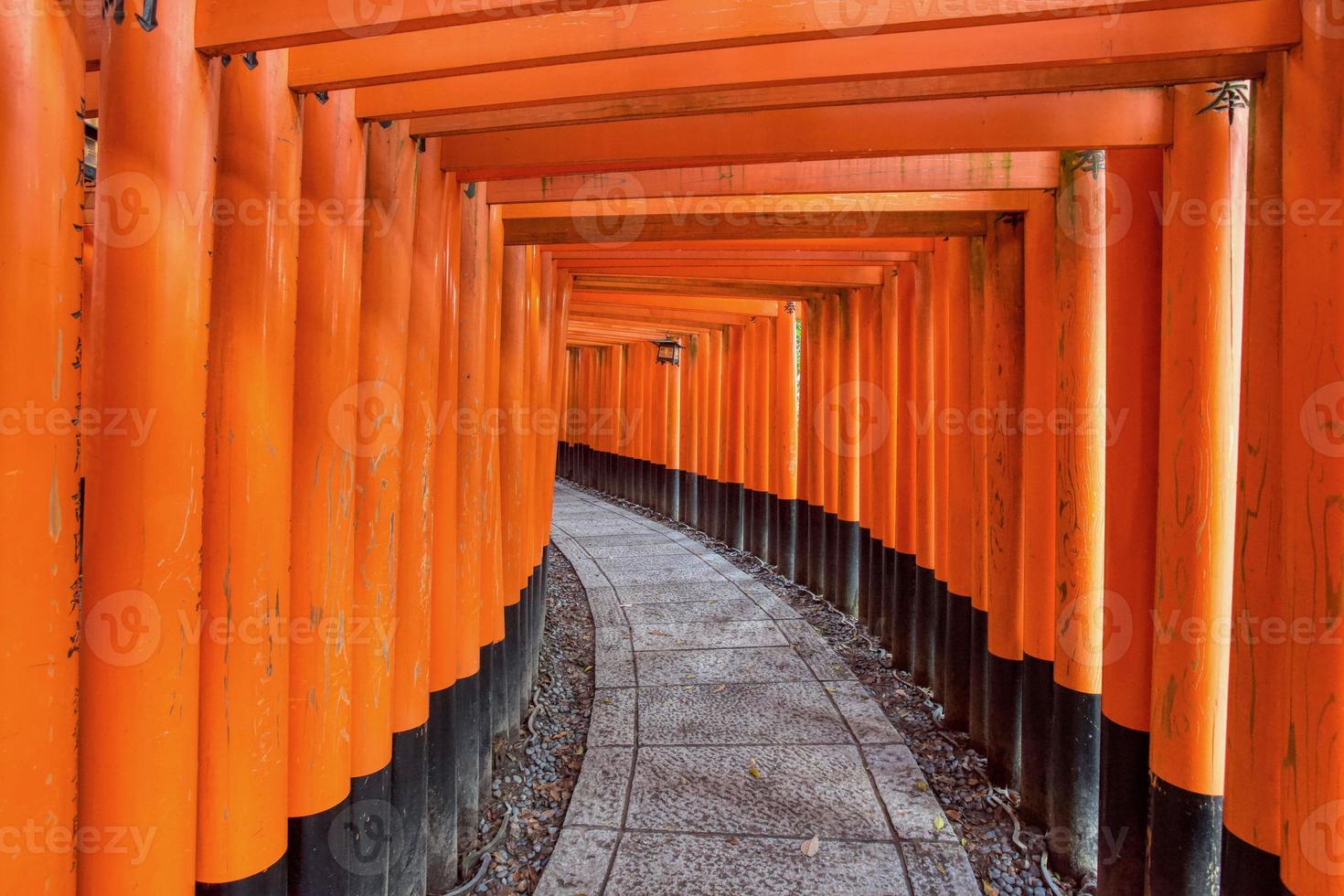 portes orange au sanctuaire fushima-inari taisha à kyoto, japon photo