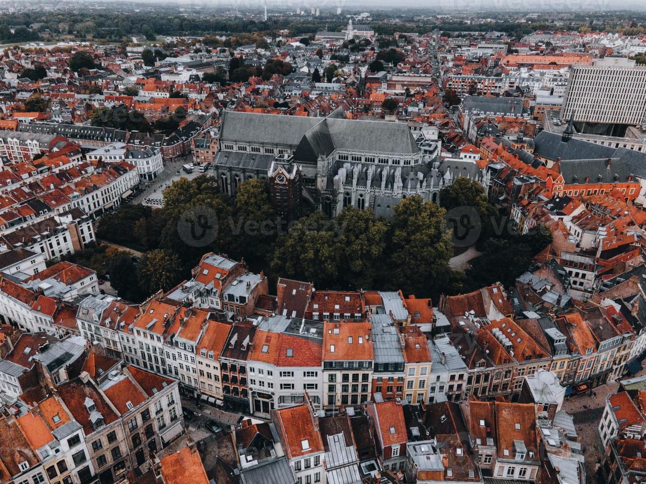 cathédrale notre dame de la treille à lille, france photo