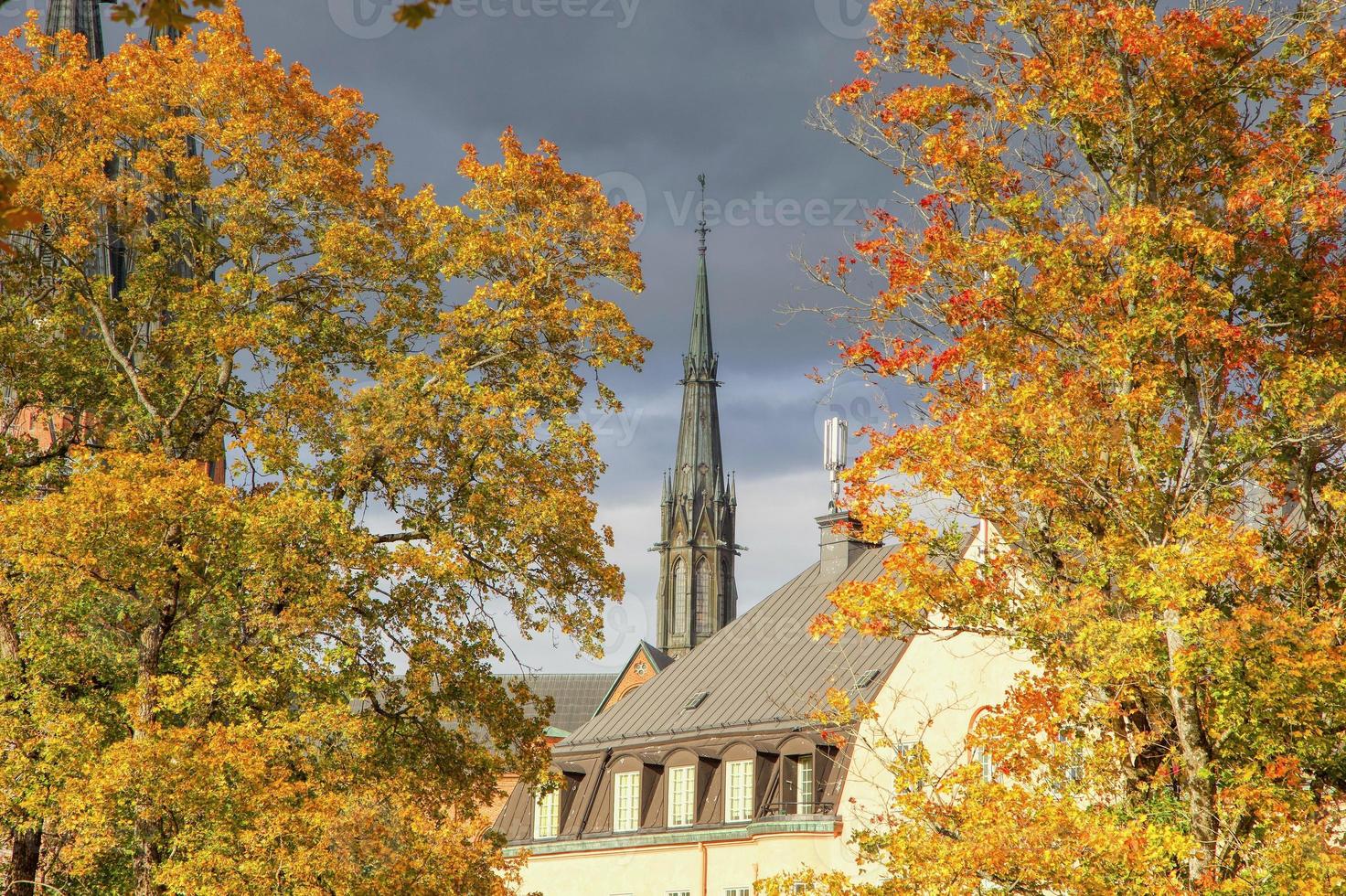 tomber à uppsala photo