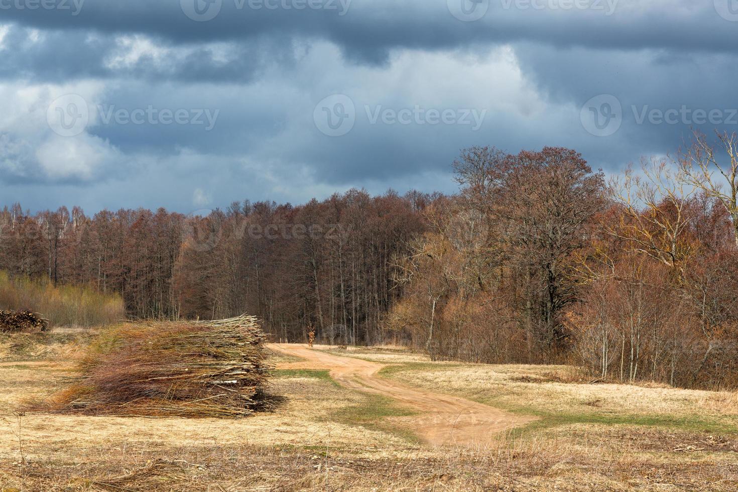 paysages du début du printemps photo