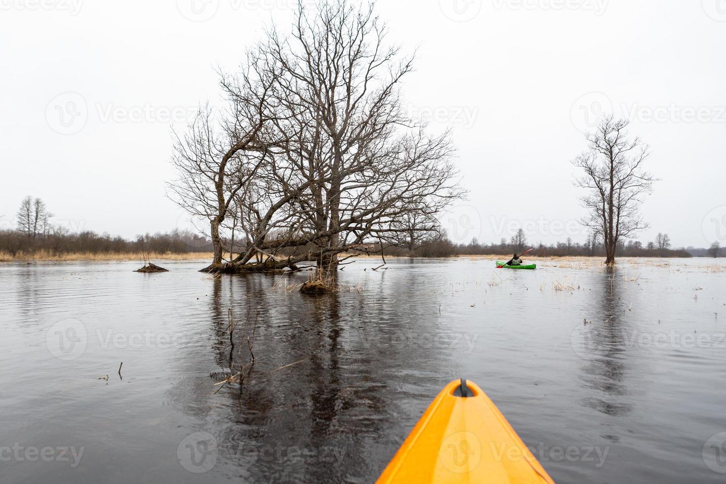 parc national de soomaa inondé photo