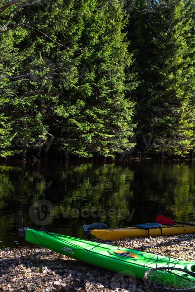 parc national de soomaa inondé photo