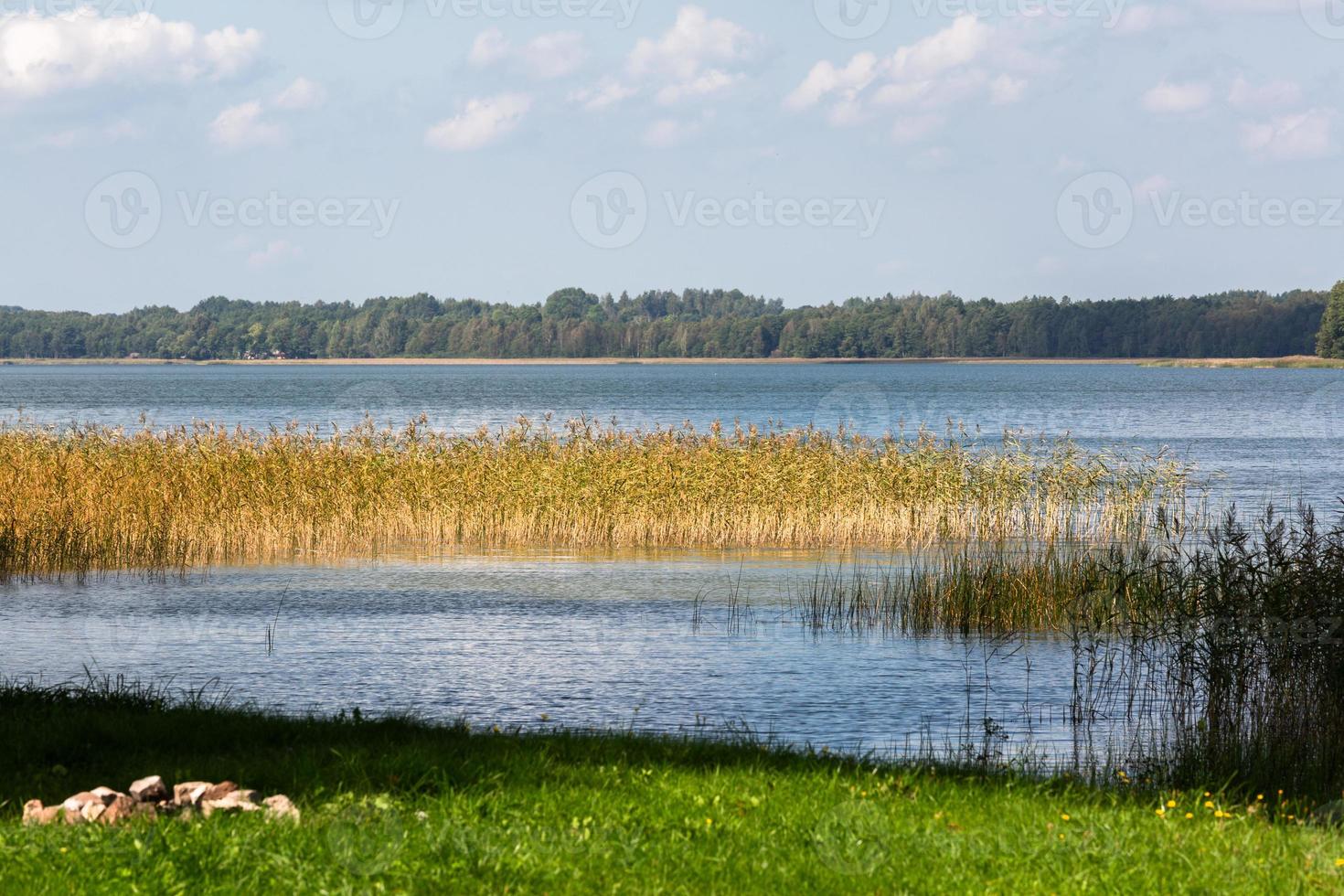 paysages d'été au bord du lac en lituanie photo