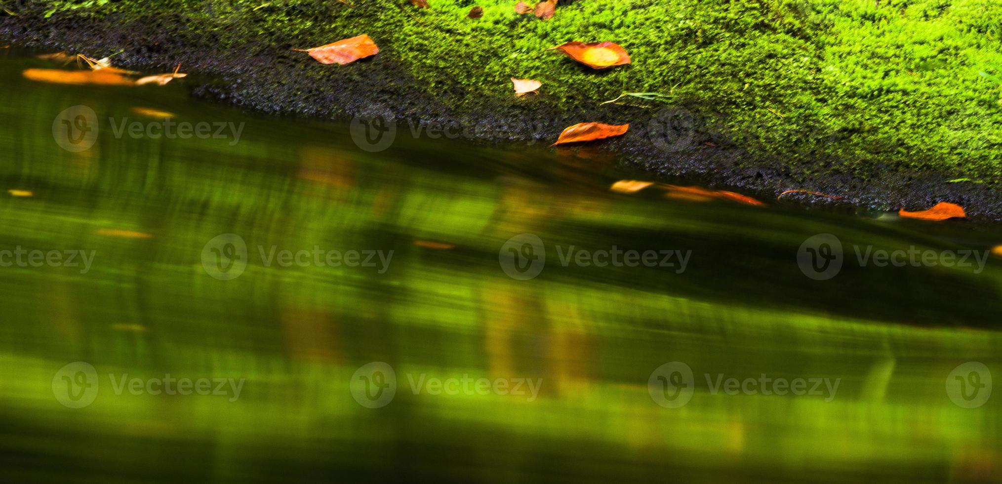 paysages d'automne à hrensko, rivière kamenice photo