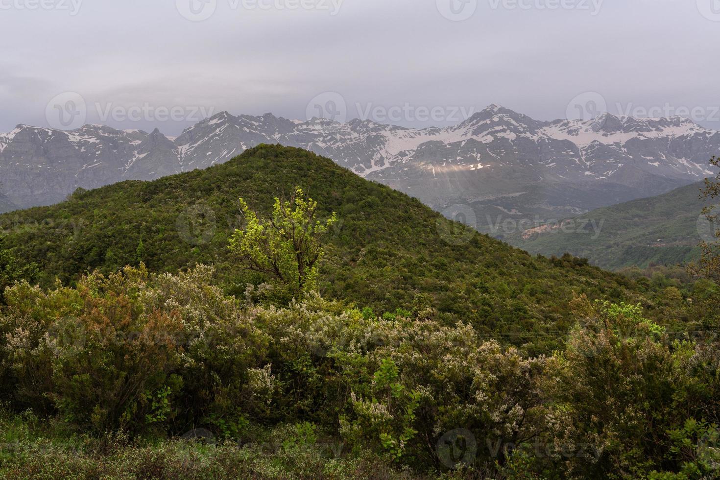 paysages printaniers des montagnes grecques photo