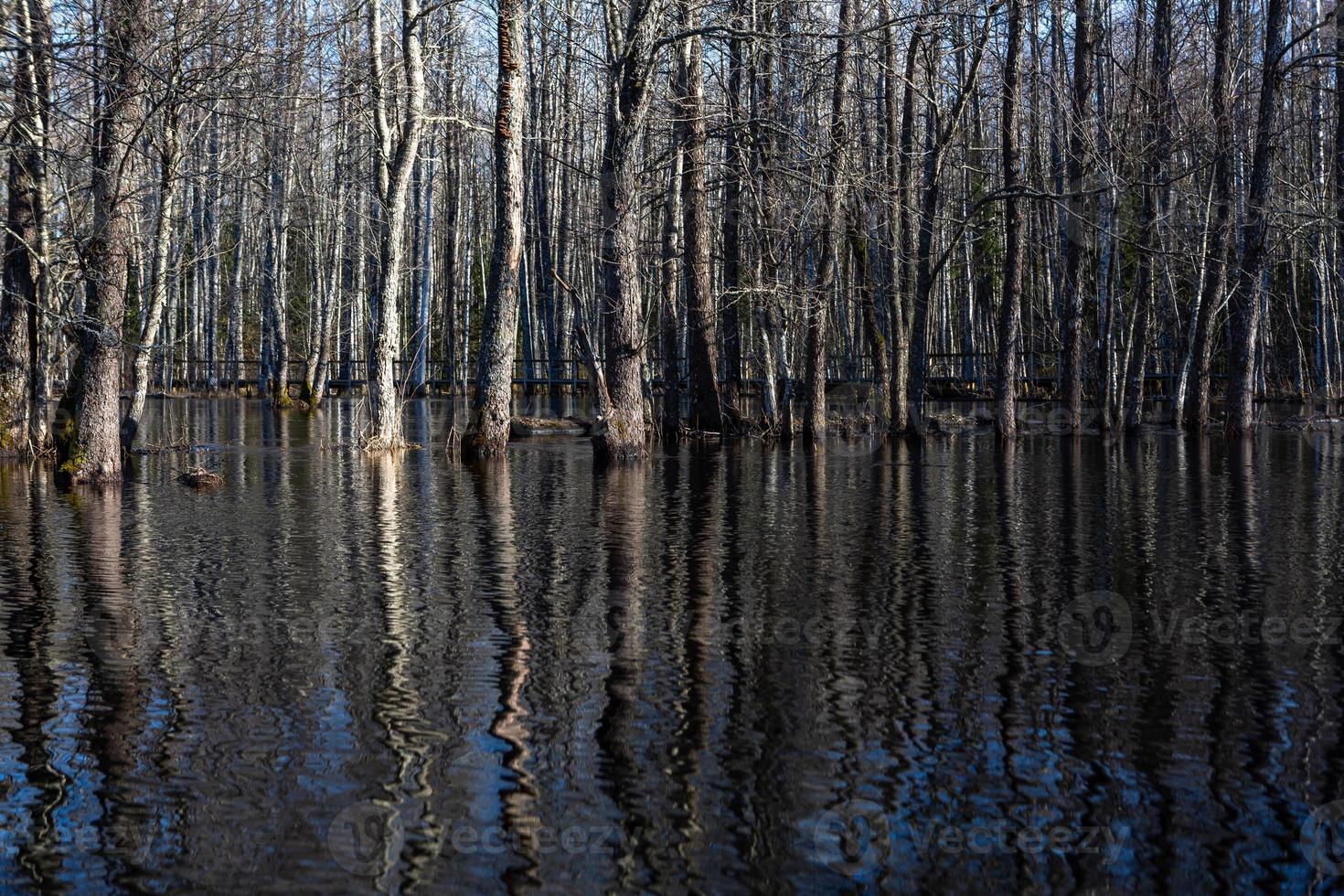 parc national de soomaa inondé photo