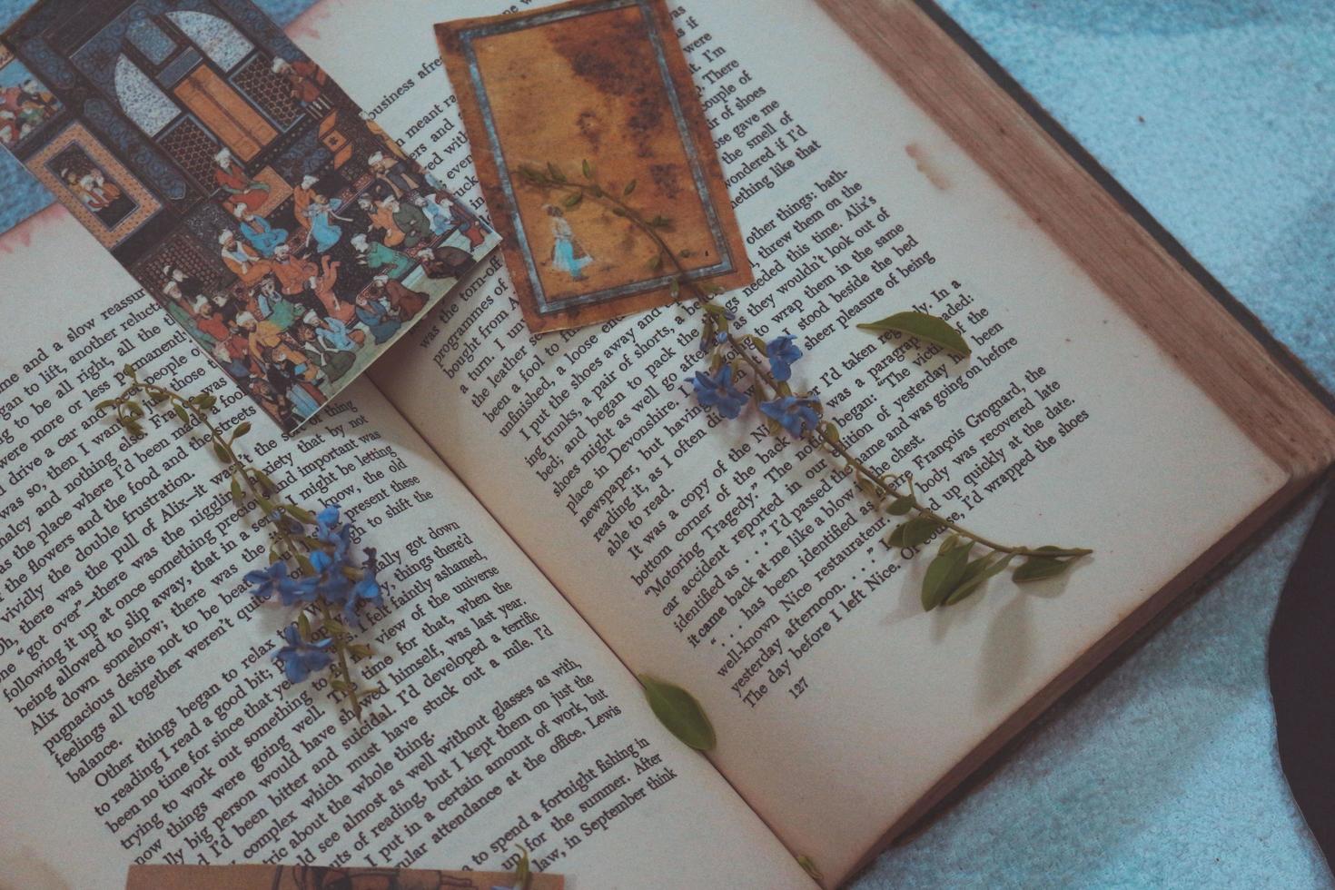 minuscules fleurs violettes dans un vieux livre vintage photo