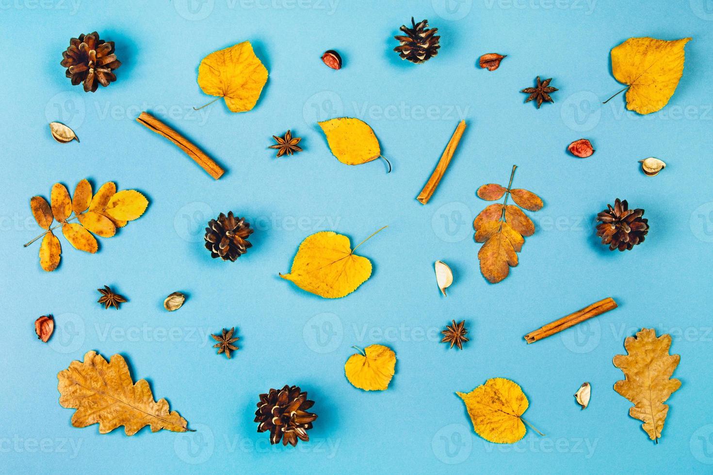 feuilles d'automne sur fond bleu. carte de voeux. photo