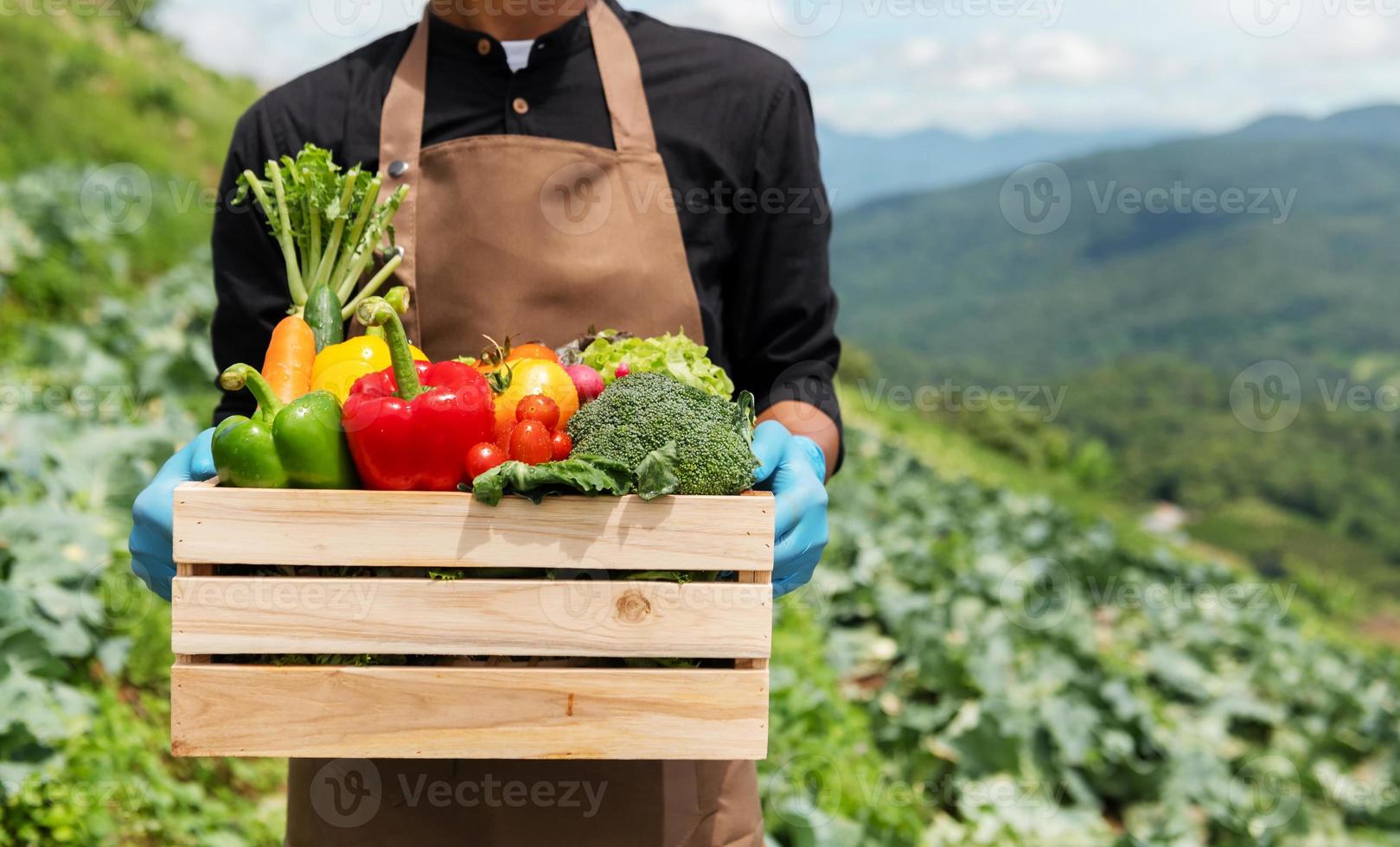 homme fermier tenant une boîte en bois pleine de crudités fraîches. panier avec des légumes biologiques frais et des poivrons dans les mains. photo