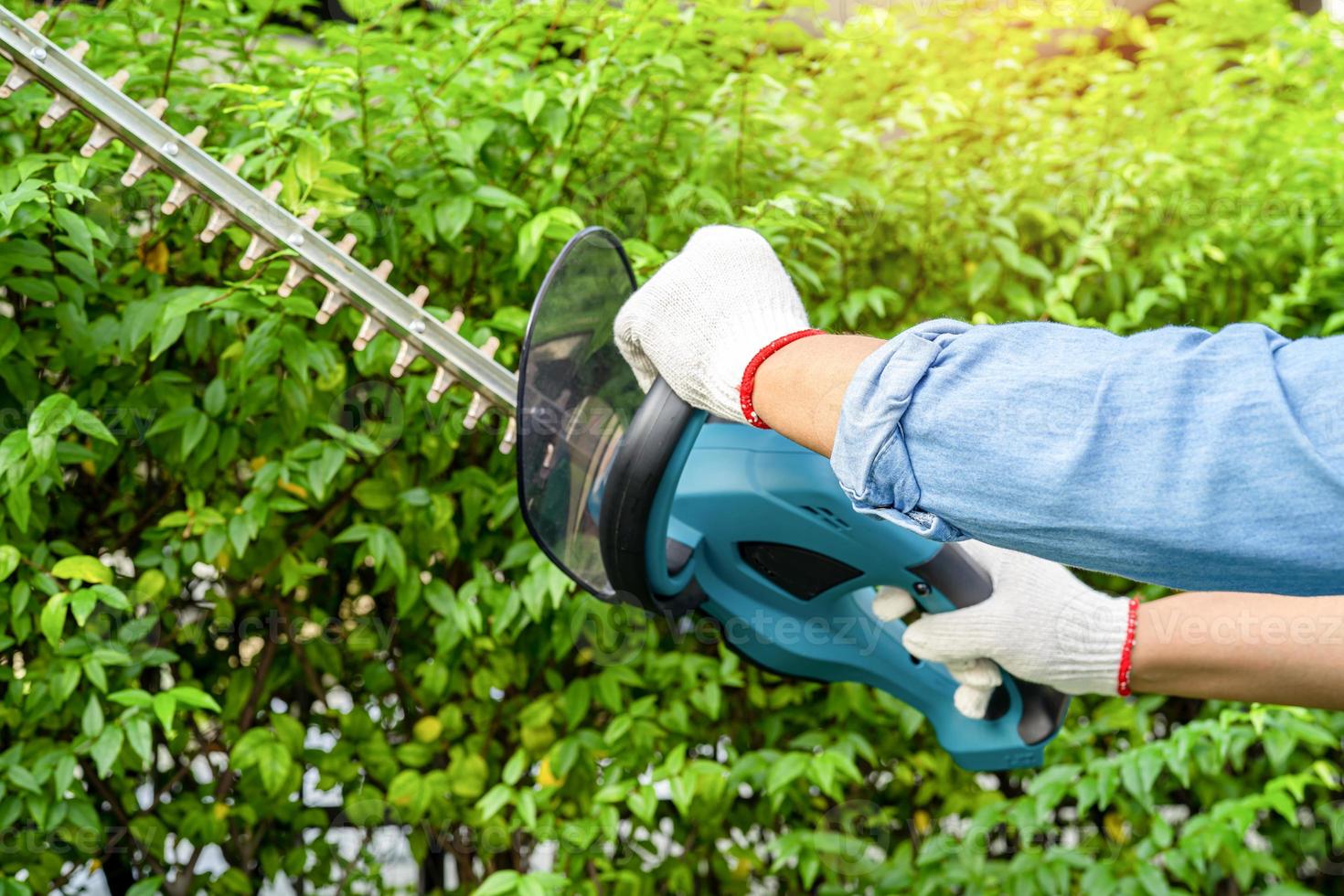 jardinier tenant un taille-haie électrique pour couper la cime des arbres dans le jardin. photo