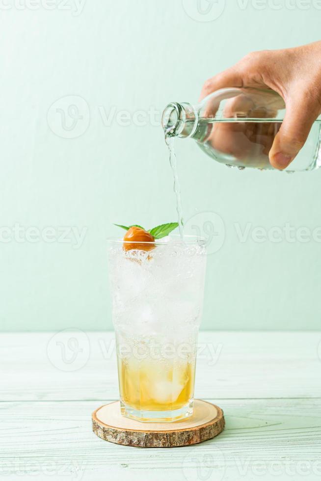 jus de prune glacé avec soda et menthe poivrée photo