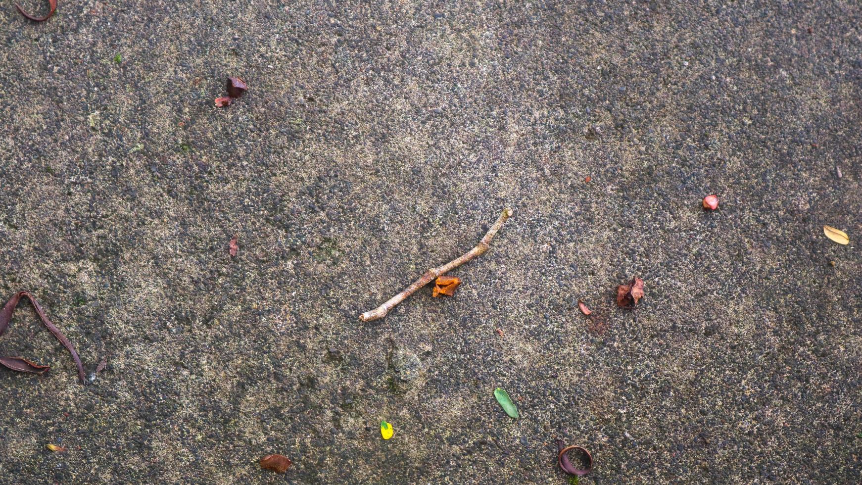 texture de route en béton avec des feuilles qui tombent photo
