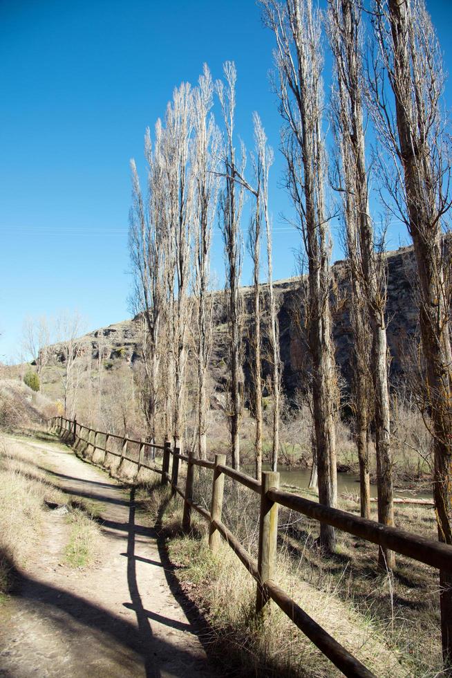 sentier pédestre le long de la rivière avec une clôture en bois photo